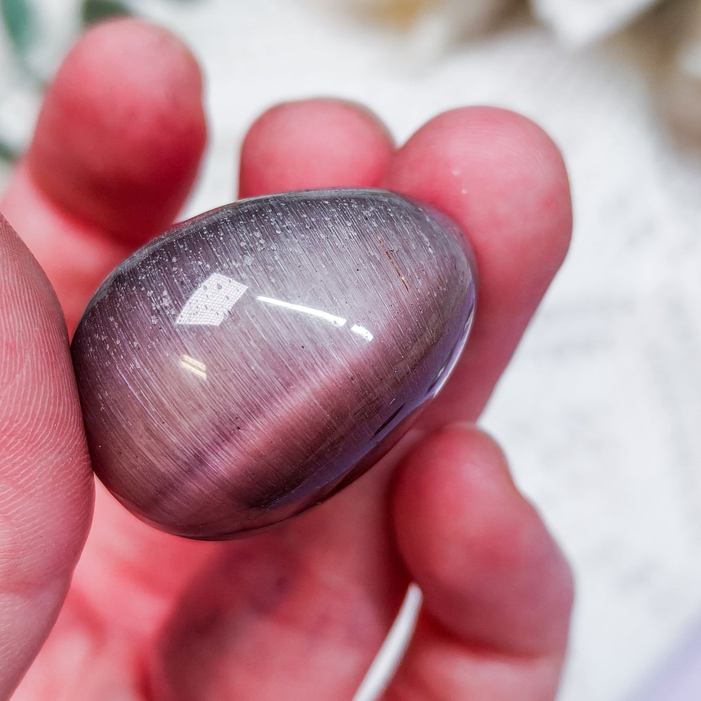 Kissansilmä rumpuhiottu