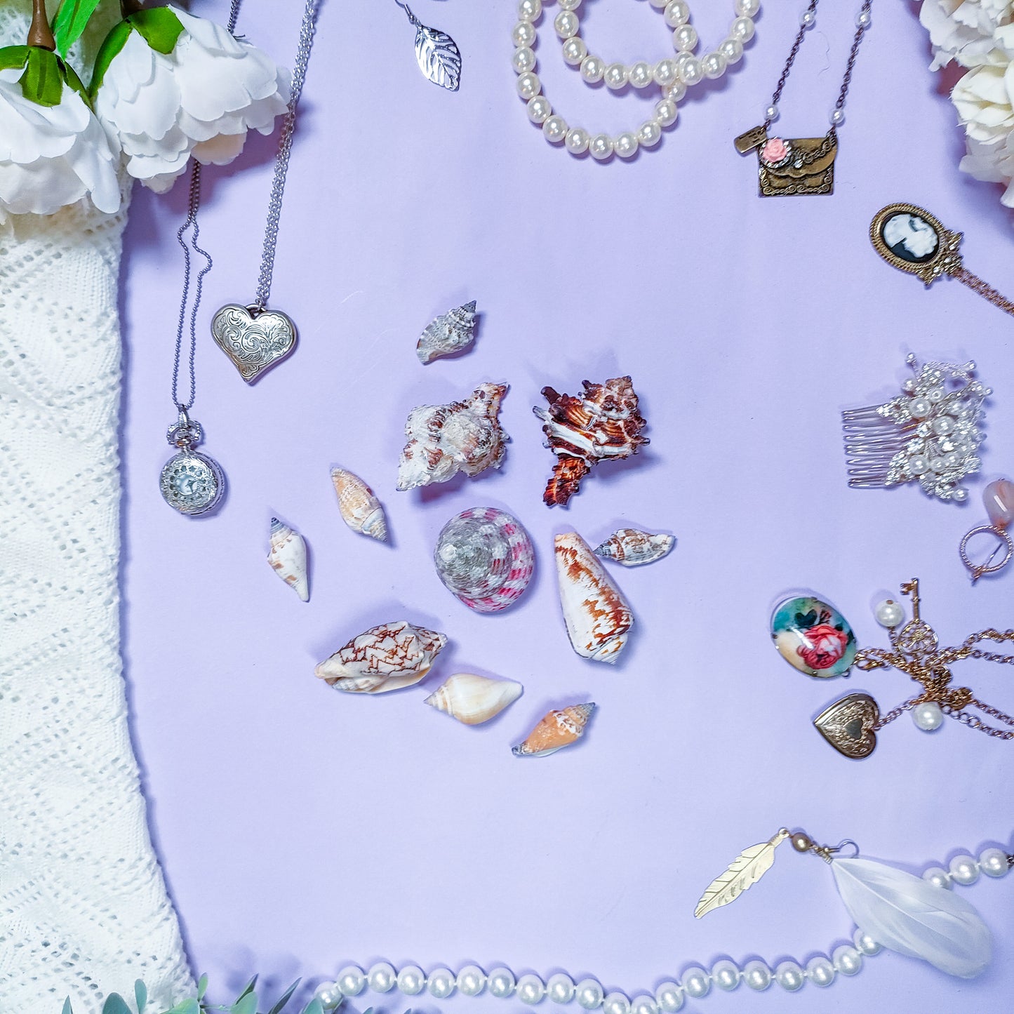 Simpukka - luonnolliset rantasimpukat koristeiksi pihalle ja kotiin