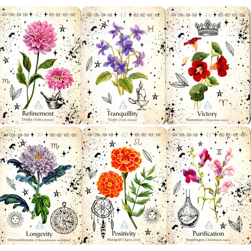 Oraakkelikortit Green Witch Oracle