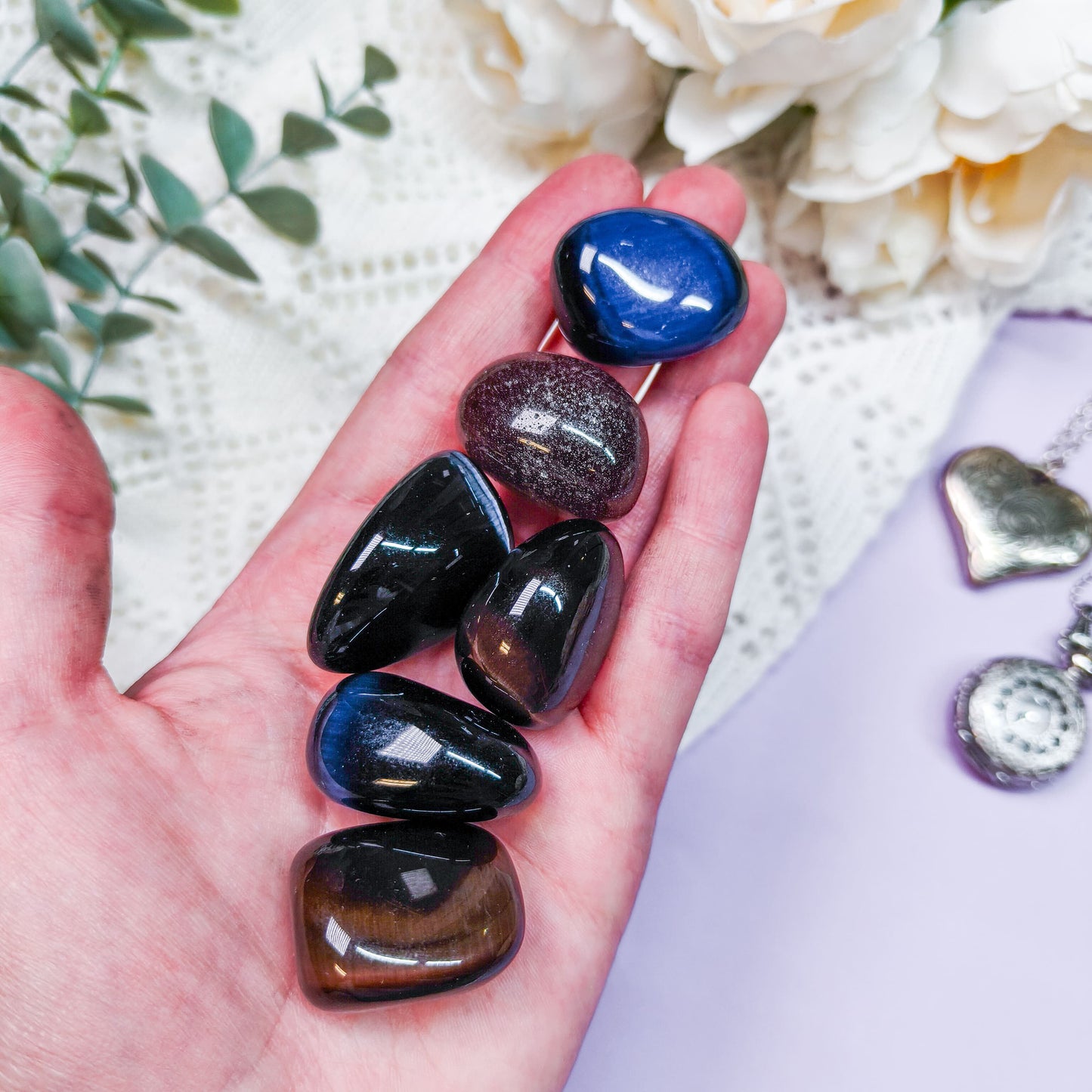 Kissansilmä rumpuhiottu