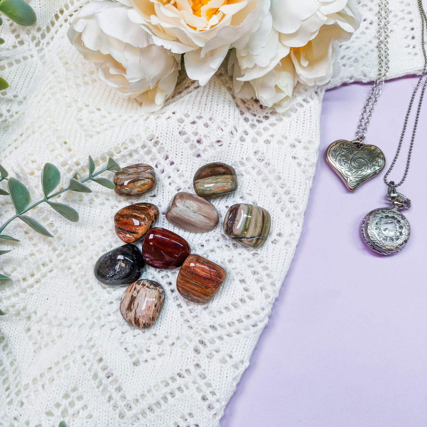 Kivettynyt puu rumpuhiottu